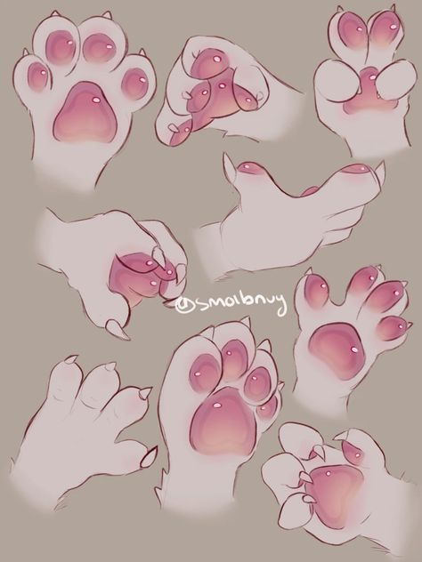 Anthro Paw Reference, Paws Art Reference, Hand Paws Reference, Tails Reference Drawing, Paw Hands Reference, Dog Fursona Reference Sheet, Tail Pose Reference, Wolf Fursona Reference Sheet, Bat Fursona Reference Sheet