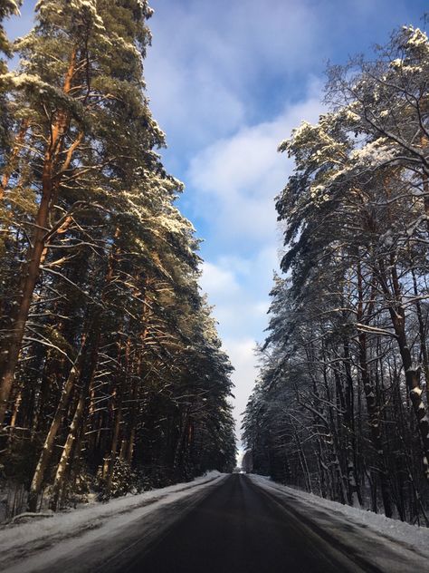 Lovely picture of nature. Lithuania forest road in winter with snowy trees #lithuanian #forest #wood #tree #road #inspired #winter #nature Lithuania Winter, Lithuanian Nature, Lithuania Nature, Picture Of Nature, Tree Road, Forest Wood, Snowy Trees, Forest Road, Winter Nature