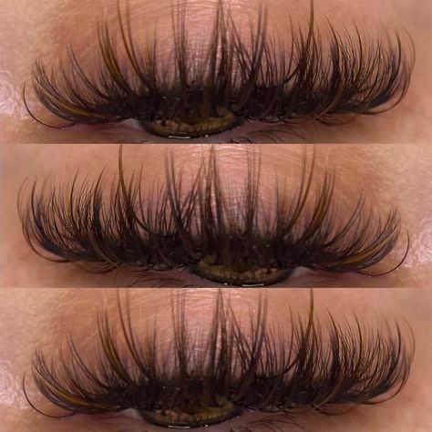 Brown Lash Set, Black And Brown Lash Extensions, Brown And Black Lash Extensions, Brown Lash Extensions Eyelashes, Dark Brown Lash Extensions, Brown Lashes Extensions, Lash Extensions With Color, Wispy Volume Lash Extensions, Brown Eyelash Extensions