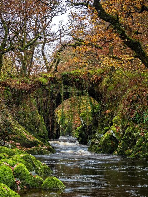 Personality Board, Roman Bridge, Old Bridges, Forest Setting, Výtvarné Reference, Nature Architecture, Beautiful Trees, North Wales, Beautiful Places In The World