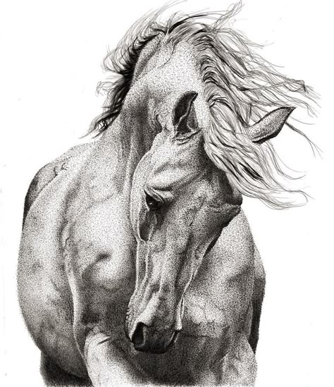 Each Piece I Create Using Pointillism Technique Takes Up To Couple Of Hundred Hours To Make | Bored Panda Pointalism Art, Stippling Drawing, Portrait Au Crayon, Dotted Drawings, Stippling Art, Pen Art Drawings, Horse Tattoo, Support Art, Horse Drawings