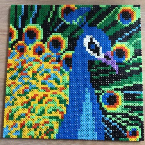 Hama beads, Peacocks and Beads on Pinterest Animate Tutorial, Melty Bead Patterns, Pearl Beads Pattern, Beads Patterns, Perler Art, Hama Beads Design, Diy Perler Bead Crafts, Perler Crafts, Bead Sprite