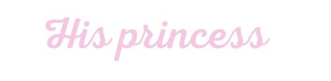 Princess Discord Banner, His Princess Banner Discord, Princess Banner Discord, Pink Mats, Pink Discord Banner, Dr Banner, Princess Banner, His Princess, Animal Print Background