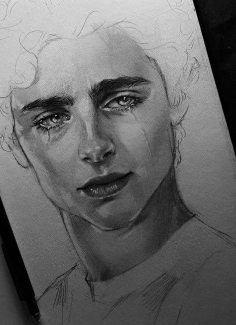 Timothee Chalamet Drawing, Under Influence, Portrait Palette, Project Mkultra, Nature Portraits, Portrait Artists, Draw Step By Step, Art Photography Portrait, Pen Art Drawings