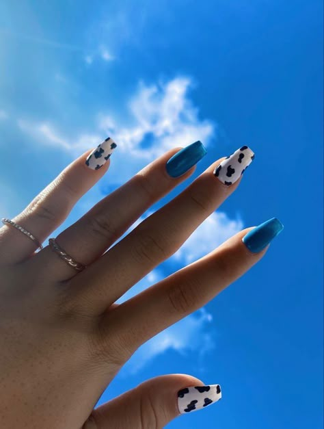 Cow Print Coffin Acrylic Nails, Light Purple Cow Print Nails, Cow Print Nails Diy, Light Blue Cow Print Nails, Cow Print Nails Blue, Cute Cow Print Nails, Cow Print Nails, Acrylic Nails Almond Shape, Black Nails With Glitter