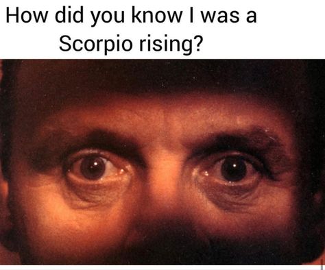 Astrology Humor, Scorpio Ascendant, Scorpio Rising, Aries And Scorpio, Gemini Quotes, Capricorn Moon, Birth Chart Astrology, I Hate Everyone, Energy Healing Spirituality