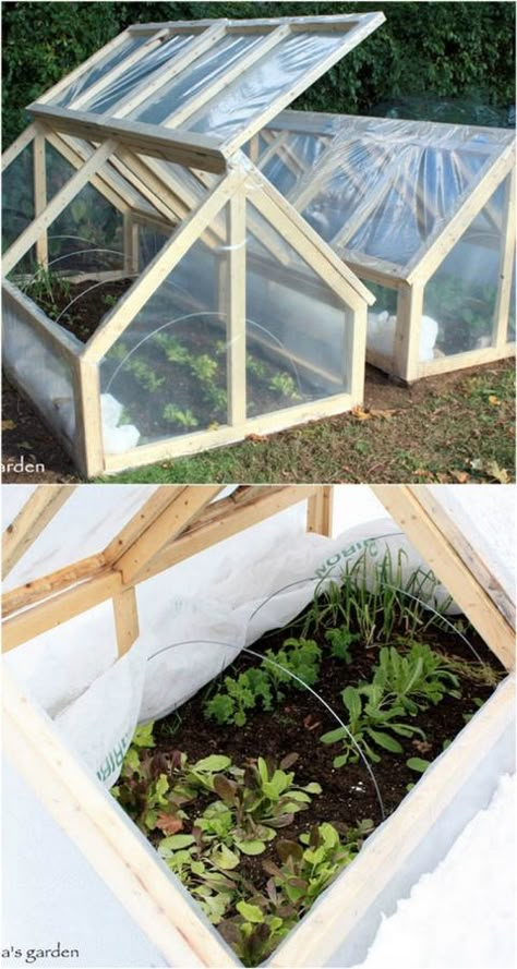 Ultimate collection of THE BEST tutorials on how to build amazing DIY greenhouses, hoop tunnels and cold frames! Lots of inspirations to get you started! - A Piece of Rainbow Serre Diy, Diy Greenhouses, Cold Frames, Diy Greenhouse Plans, نباتات منزلية, Plants Growing, Small Greenhouse, Greenhouse Plans, Garden Types