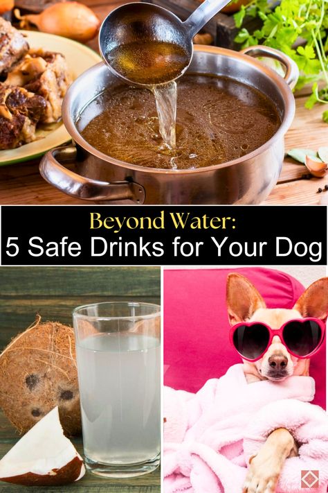 Ensure your dog stays hydrated with these five safe and nutritious drinks! 🐾 From bone broth to vegetable juices, these beverages can be added to dog food recipes for extra flavor and nutrition. Learn how to incorporate these drinks into your dog's meals to promote health and well-being. Perfect for dog owners who want to offer their pets a variety of healthy options. #DogFoodRecipes #HealthyPets Drinks For Dogs, Dog Beer Recipe, Homemade Pedialyte, Dog Drinks, Homemade Electrolyte Drink, Hydrating Foods, Vegetable Juices, Dog Beer, Doggie Treats