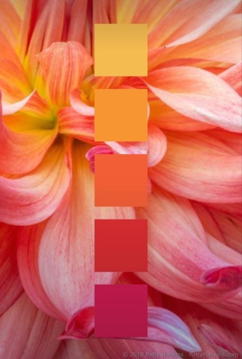 Beautiful Color Combinations Inspiration, Peach And Orange Color Palettes, Orange Pink White Color Palette, Spring Summer Palette, Guava Color Palette, Pink Peach Orange Color Palette, Groovy Colour Palette, Colors That Go With Coral, Color Palette 10 Colors