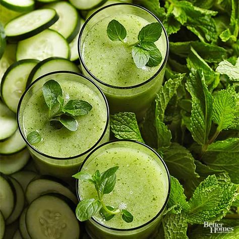 Cucumber-Mint Smoothies Honeydew Smoothie, Mint Smoothie, Homemade Smoothies, Green Tea Recipes, Healthy Green Smoothies, Smoothie Packs, Cucumber Recipes, Eat The Rainbow, Fresh Mint Leaves