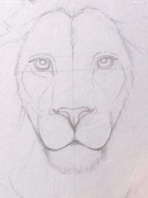 Lion Nose Drawing, Lion Head Drawing Sketches, How To Draw A Lion Face, Loin Drawings, Lion Drawing Realistic, Lion Eyes Drawing, Lion Sketch Pencil, Lion Sketch Simple, Animal Drawings Sketches Simple