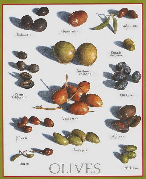 cook's illustrated artwork - Google Search Types Of Olives, Food Charts, Cooks Illustrated, Food Info, Cooking For One, Cooking For Two, Olive Gardens, Idee Pasto Sano, Cooking With Kids