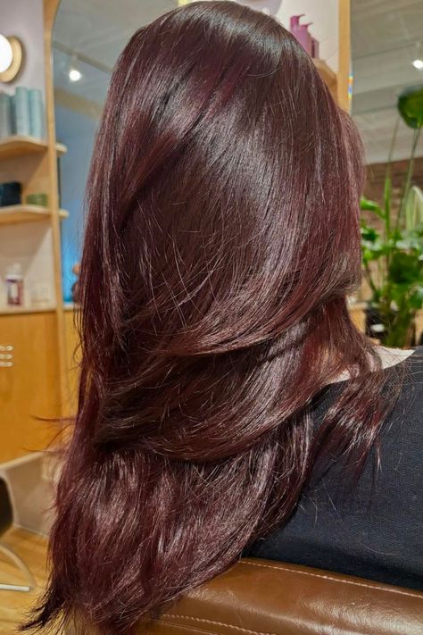 dark red brown hair Deep Red Long Hair, Red Hair Color For Brown Skin Indian, Win Red Hair, Dark Deep Red Hair Color, Cherry Cholocate Hair, Dark Chocolate Cherry Brown Hair, Red Brown With Highlights, Red Over Brown Hair, Red On Brown Hair