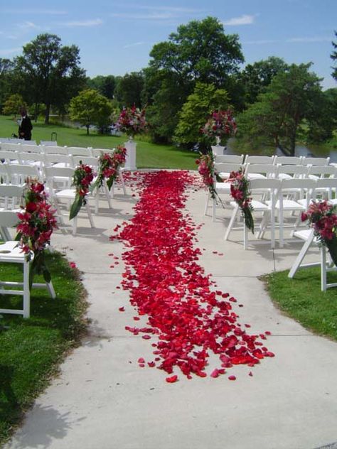 Solid red rose petal path Roses Petals, Red Rose Petals, Wedding Ceremonies, Solid Red, Walkway, Red Rose, Rose Petals, Wedding Ceremony, Red Roses