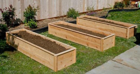 Cedar Fence Posts, Potting Bench Plans, Cedar Fence Pickets, Fence Picket, Cedar Raised Garden Beds, Cedar Fence, Beginner Woodworking Projects, Wood Working For Beginners, Garden Boxes