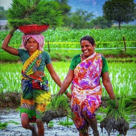 India Village Photography, Actor And Actress, Village Girls, Bangladesh Travel, Paddy Field, Village Women, Kerala Backwaters, Female Farmer, Amazing India