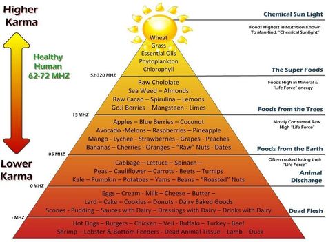 Sunny Pineal on Twitter: "… " Spirulina Recipes, Blueberry Smoothie Recipe, Food Pyramid, Dairy Drinks, Blueberries Smoothie, High Vibrational, Life Force Energy, Alkaline Foods, Raw Cacao