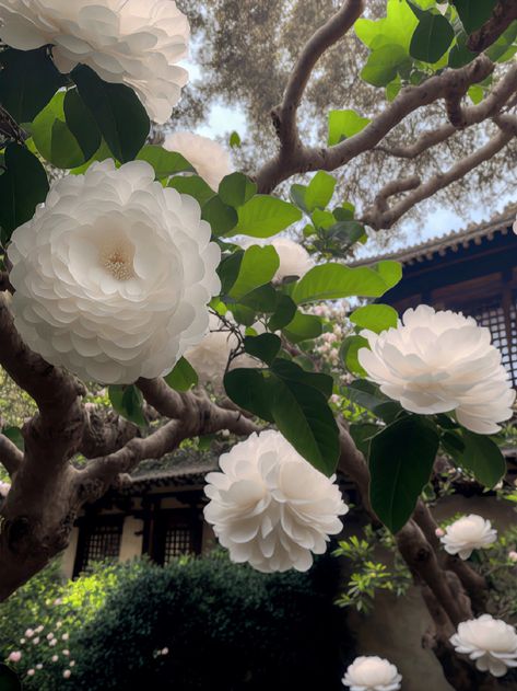 Desktop Layout, Flower Language, White Camellia, Strange Flowers, Printed Circuit, Visual Board, Printed Circuit Board, Camellia Flower, Most Beautiful Flowers