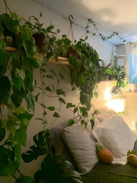 Cute Room With Plants, Big Plants In Bedroom, Plant Room Decor Bedroom, Plants In Bedroom Aesthetic, Plant Filled Bedroom, Plant Decor Aesthetic, Dorm Room Plants, Room Full Of Plants, Plants In Bedroom