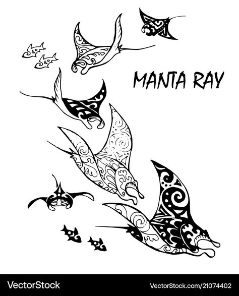 Fish Black And White, Manta Ray Tattoo, Small Geometric Tattoo, Sea Creatures Art, Stylized Illustration, Jellyfish Tattoo, Ocean Tattoos, Shark Tattoos, Fish Vector