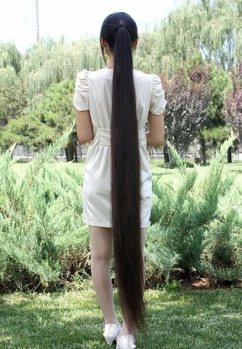 Super Long Ponytail, Long Ponytail, Long Hair Ponytail, Extremely Long Hair, Long Silky Hair, Rapunzel Hair, Long Face Hairstyles, Really Long Hair, Long Natural Hair