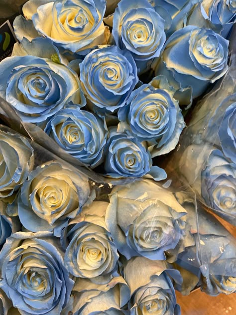 Caraval Aesthetic, Donatella Dragna, Corpse Bride Wedding, Darling Charming, Magic Of Pegasus, Blue And White Roses, Elsa Steel, Cinderella Aesthetic, Blue Roses Wallpaper