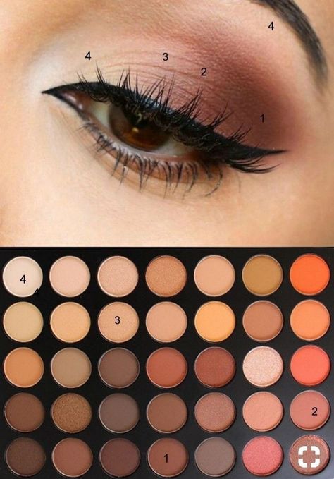 Brown Eyeshadow Tutorial, Brown Eye Makeup Tutorial, Teknik Makeup, Membentuk Alis, Makeup Morphe, Trendy Eyeshadow, Eyeshadow Tips, Makeup Tutorial Eyeshadow, Eye Makeup Steps