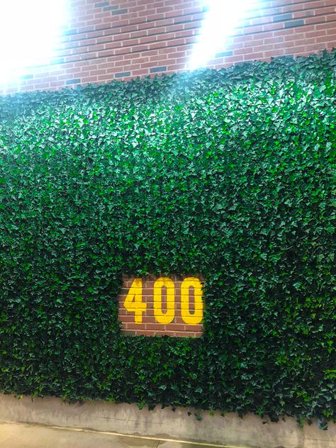 Wrigley Field ivy wall Ivy Wall Photo Backdrop, Green Ivy Wallpaper, Wrigley Field Ivy Wall, Wrigley Field Aesthetic, Wrigley Field Wallpaper, Wrigley Field Painting, Ivy Wall, Field Wallpaper, Wrigley Field