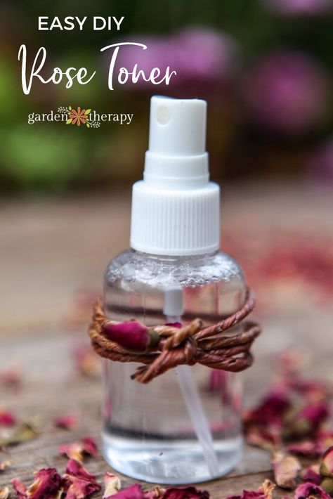 DIY rose toner in a small spray bottle with dried rose petals in the background Diy Rose Water Toner, Diy Skin Toner, Making Rose Water, Homemade Rose Water, Rose Water Diy, Diy Natural Beauty Recipes, Rose Skincare, Skincare Recipes, Rose Toner