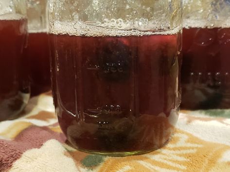 Pint jars half filled with muscadines and muscadine juice Muscadine Moonshine Recipe, Muscadine Juice Recipe, Easy Muscadine Wine Recipe, Mash Recipes, How To Make Juice, Muscadine Wine, Pepper Jelly Recipes, Slushie Recipe, Moonshine Still