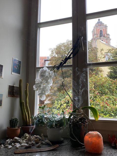 windowsill, room inspo, room aesthetic, oldtown, plants, incense sticks, incense, calm, peaceful Incense Sticks Aesthetic, Windowsill Aesthetic, Incense Aesthetic, Living Deliciously, Vision 2024, True Heart, House Aesthetic, Dream Apartment, Furniture Designs