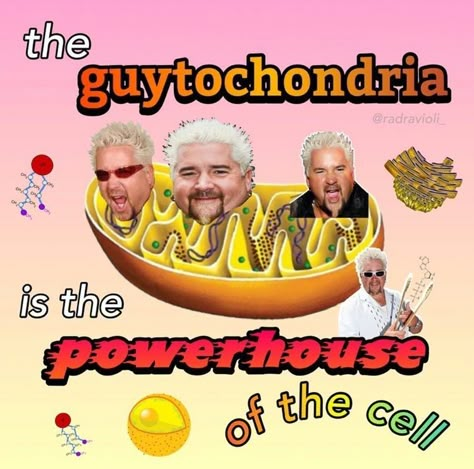 Guy Fieri Meme, The Funny Friend, Guy Ferrari, Spam Meat, My Knee Hurts, Mike Wazowski, Guy Fieri, The Holy Trinity, Broken Leg