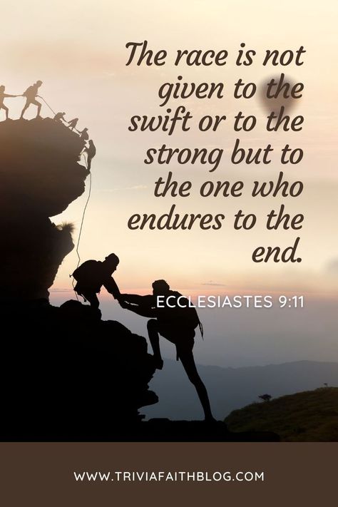 Ecclesiastes 9:11 ~ "I returned, and saw under the sun, that the race is not to the swift, nor the battle to the strong, neither yet bread to the wise, nor yet riches to men of understanding, nor yet favour to men of skill; but time and chance happeneth to them all" Ecclesiastes 9, Christian Quotes Scriptures, Encouraging Verses, Bible Pictures, Powerful Bible Verses, Motivational Picture Quotes, Encouraging Bible Verses, Biblical Verses, Believe In God Quotes