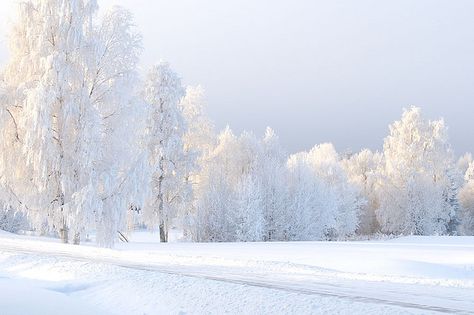 When I get fed up with the never ending heat of MS, I dream of living here... Open Days, Drama School, I Love Winter, Mince Pies, Christmas Feeling, Winter Wallpaper, Winter Scenery, Winter Beauty, Winter Wonder