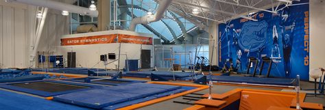 O'Connell Center Gymnastics Training Facility. Gymnastics Facility, Gymnastics Gym, Tensile Structures, Gymnastics Training, Training Facility, Gymnastics Team, Thermal Comfort, Cheerleading Dance, Ninja Warrior