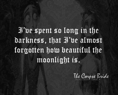 l#CorpseBride #quotes #BlackandWhite #VictorianEra #moon #darkness #night #dark #moonlight #beautiful #spent #long #time #forgot Tim Burton Quotes, Corpse Bride Quotes, Tim Burton Films, Under Your Spell, Tim Burton Movie, In The Darkness, Corpse Bride, Disney Quotes, The Darkness