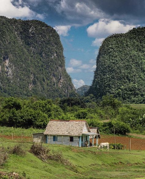 Cuba Landscape, Cuba Vinales, Vinales Cuba, Cuba Photography, Summer Moodboard, Holguin, Vinales, Cuba Travel, Village Life