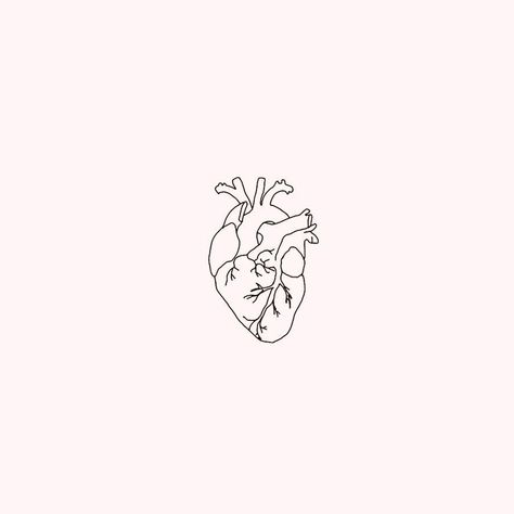 Эскиз контурный/сердце Realist Heart Tattoo, Atomical Heart Tattoos Simple, Human Heart Outline Tattoo, Small Real Heart Tattoo, Red Human Heart Tattoo, Small Realistic Heart Tattoo, Reflection Tattoo Ideas For Women, Fine Line Anatomical Heart Tattoo, Burning Heart Tattoo Minimal