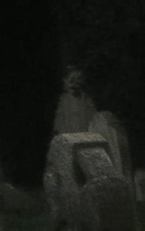 "This photo was taken by my fiancé at a very old cemetery."—gabriellap Ghost Pics, Images Terrifiantes, Paranormal Pictures, Paranormal Photos, Real Ghost, Real Haunted Houses, Scary Images, Scary Photos, Creepy Places