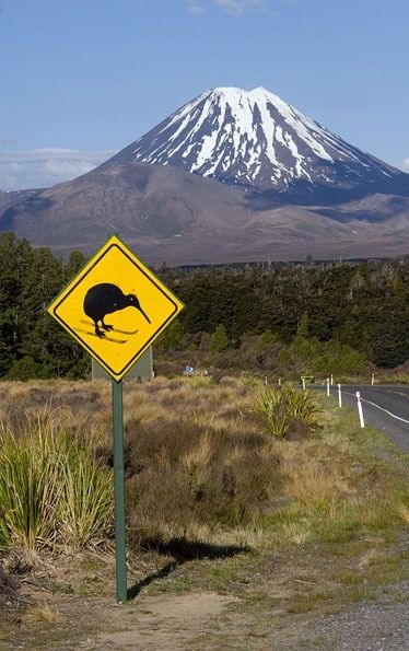 Mt Ruapehu, Kiwi Birds, Travel Malaysia, New Zealand Landscape, New Zealand Houses, Kiwi Bird, Malaysia Travel, Road Sign, White Cloud