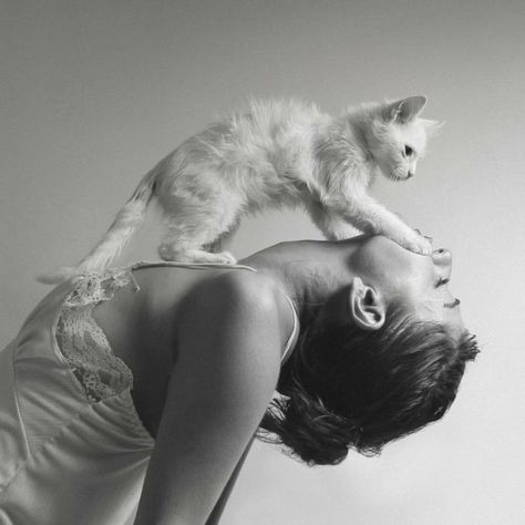 Photo With Cat Ideas, Photoshoot With Cats, Poses With Cat, Yada Villaret, Animal Photoshoot, Loving Animals, Cat Photography, Cat Aesthetic, Dark Photography