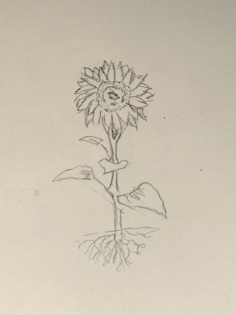 Sunflower With Roots Tattoo, Idea For Tattoo, Roots Drawing, Roots Tattoo, Sunflower Drawing, Sunflower Tattoo, Tattoo Inspo, Dreamcatcher Tattoo, A Drawing