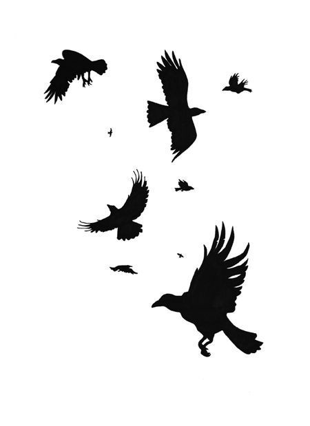 Flying Crow Tattoo Design, Simple Crow Tattoo, Crows Silhouette, Raven Totem, Crow Pictures, Rabe Tattoo, Crow Silhouette, Crows Drawing, Crow Tattoo Design