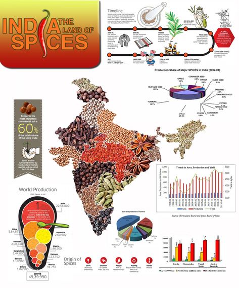 Spicy India - http://explo.in/1M6eEvx #Infographic #Restaurants Map Of India, Social Studies Projects, Indian Culture And Tradition, Amazing India, Infographic Map, Geography Map, India Facts, India Map, India Culture