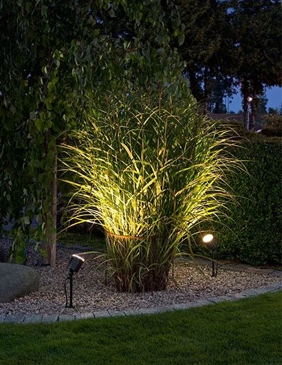 Landscape Lighting Design, Outdoor Garden Lighting, Outdoor Landscape Lighting, Backyard Lighting, Have Inspiration, Patio Landscaping, Led Outdoor Lighting, Outdoor Inspirations, Outdoor Landscaping