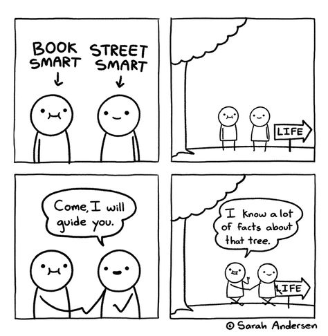 Sarah's Scribbles, Sarah Andersen, Sarah Anderson, Book Smart, Street Smart, December 17, Smart Life, Harry Potter Memes, Colby