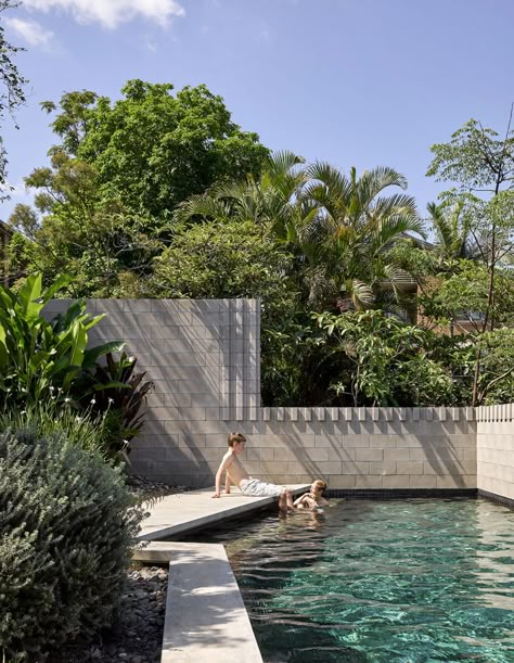 A Miraculous Floating Garden + Pool in Brisbane Brisbane Architects, Residential Pool, Floating Garden, Australian Architecture, Victorian Terrace, Architecture Awards, Plunge Pool, Garden Pool, Australian Homes