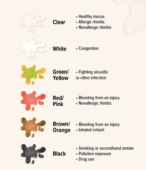 Ever notice your snot changing colors? 🌈🤧 It's like a mood ring for your nose! From clear to green or even black, your mucus color can give some clues about what's going on inside. Let's decode those snot signals together! #NoseNews #herbspro Mucus Color Chart, Mucus Color, Healthy Juice Recipes, Mood Ring, Healthy Juices, Emergency Service, Juicing Recipes, How To Stay Healthy, Did You Know