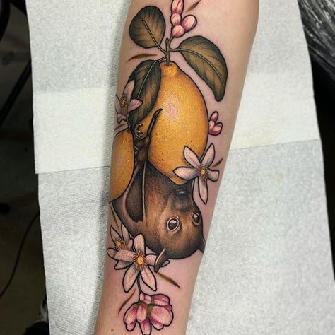 Izzy Mulkern (@izzymulkern1995) • Instagram photos and videos Purpose Tattoo, Private Tattoo Studio, Orange Tattoo, Fruit Tattoo, Private Tattoos, Neotraditional Tattoo, Soul Purpose, Lemon Blossoms, R Tattoo