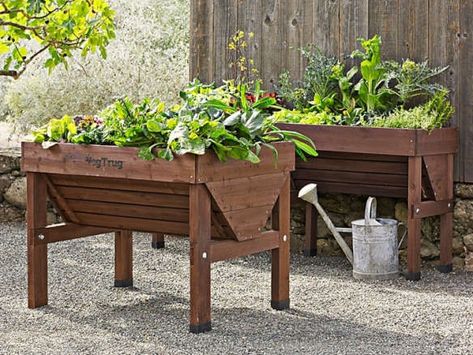 Garden Design Ideas Inspiration, Planter Liners, Raised Garden Bed Plans, Raised Planter Boxes, Raised Planter Beds, Garden Design Layout, Raised Planter, Garden Design Plans, Garden Art Sculptures